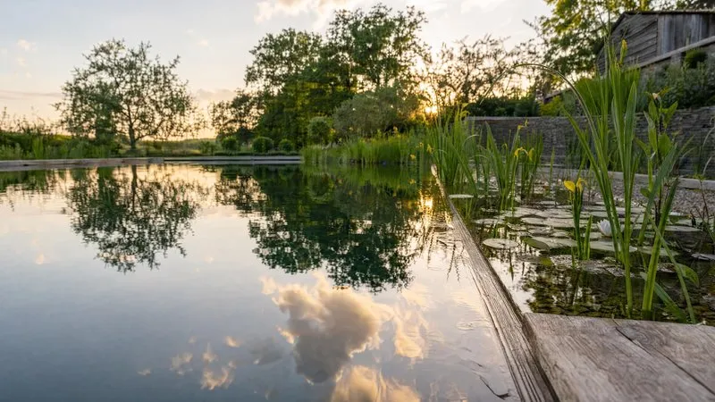 The weathered oak edge of a deck at the waterline, with lilies and submerged stones below
