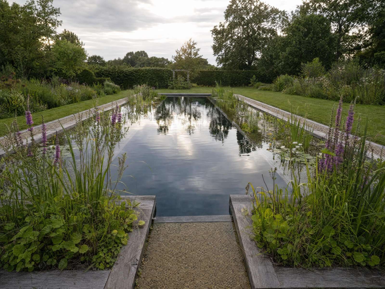 Planted margins of a swimming pond, showing the regeneration zone