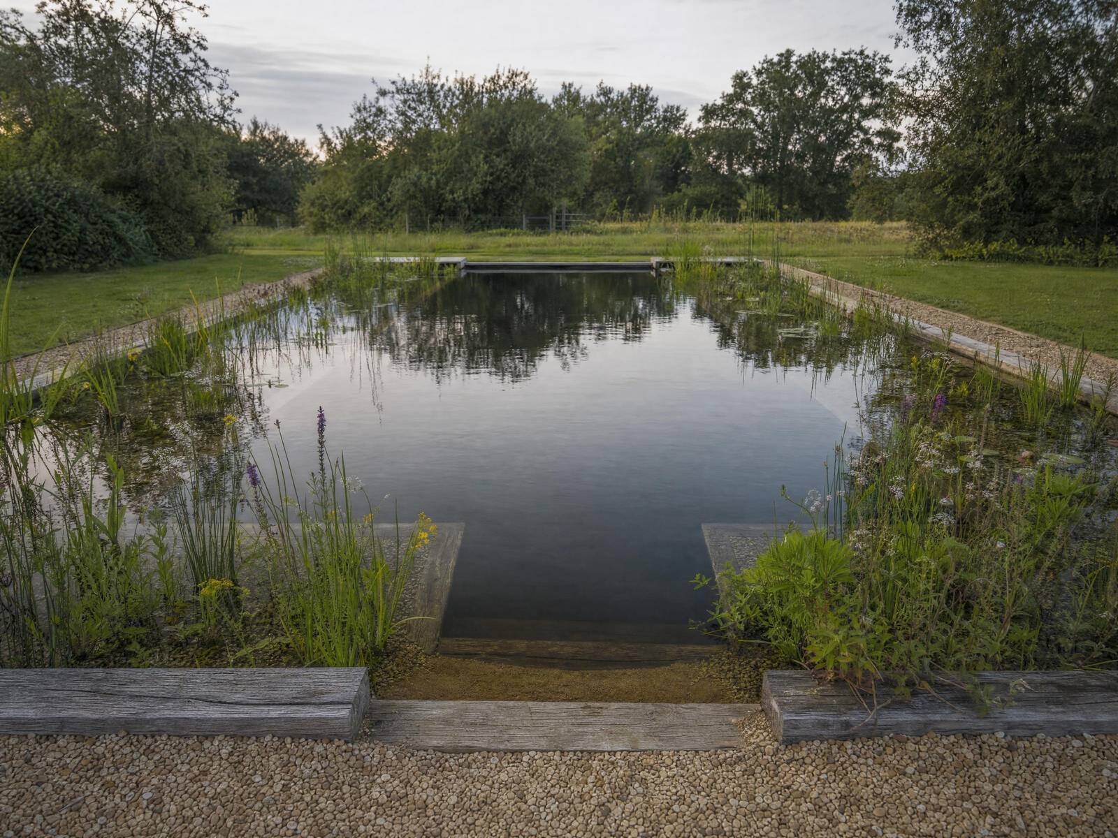 A contemporary timber and glass house beside a dark living pool