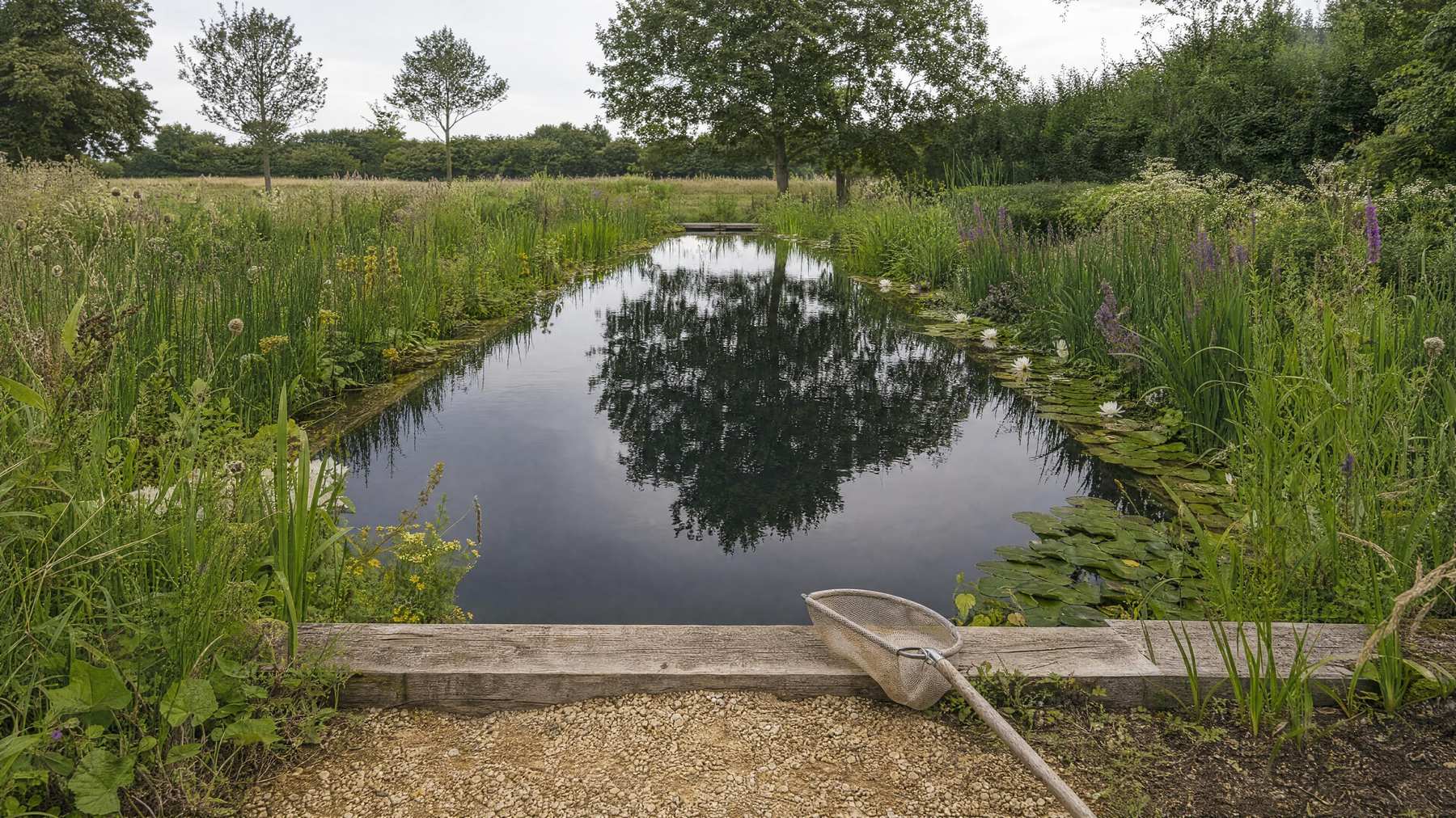 Oak deck and water lilies at the edge of a natural pool