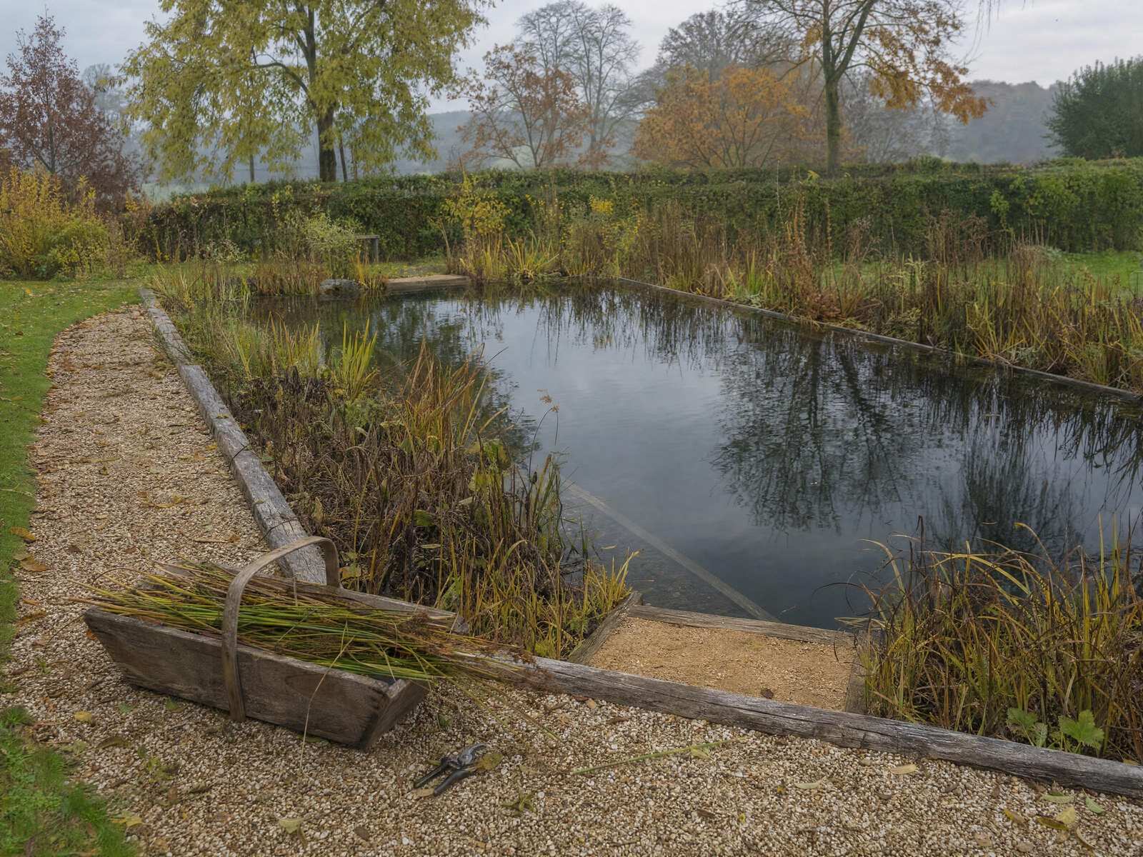 Timber decking beside a planted wildlife pond