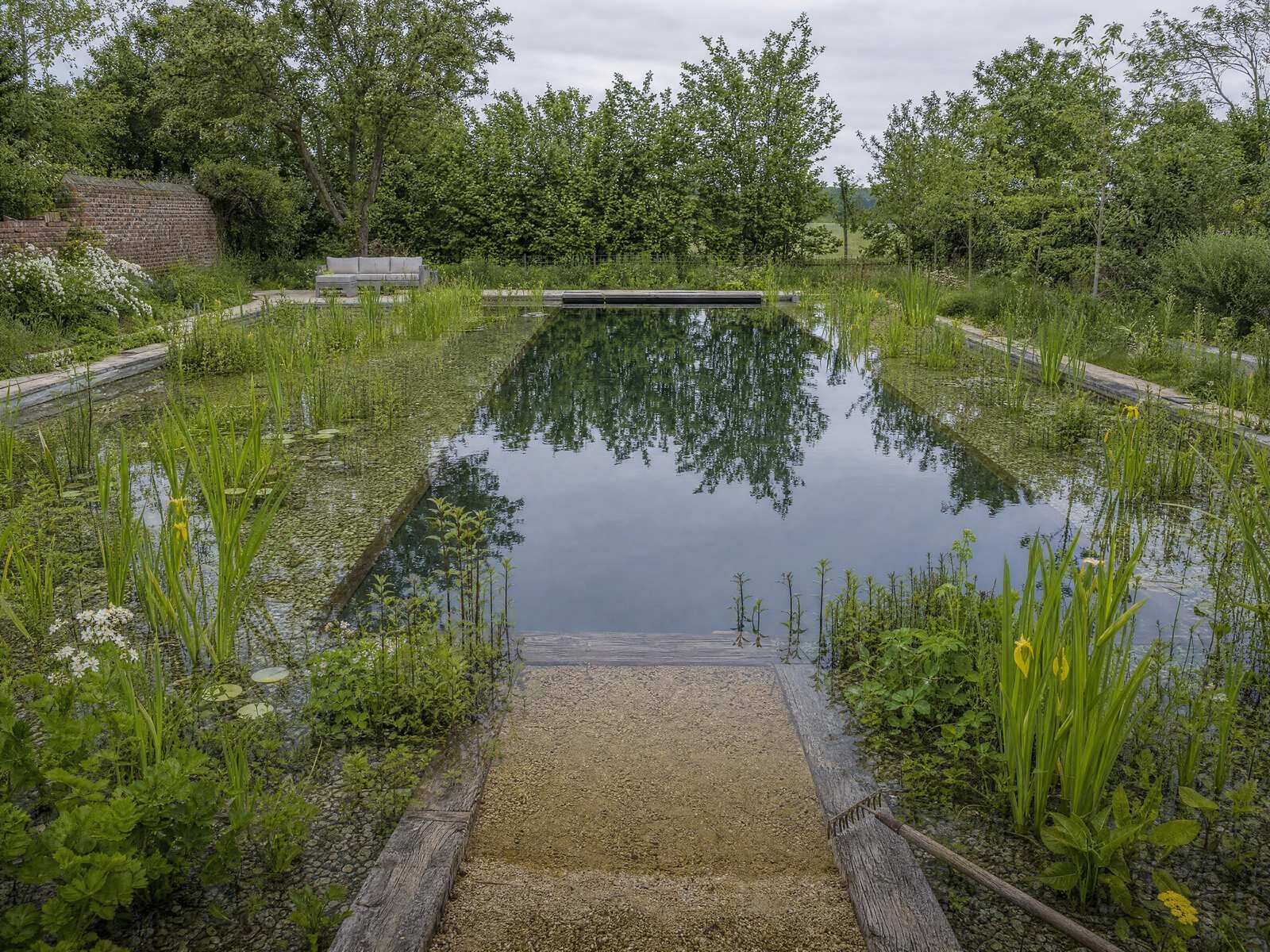 Living pool on a still, misty winter morning