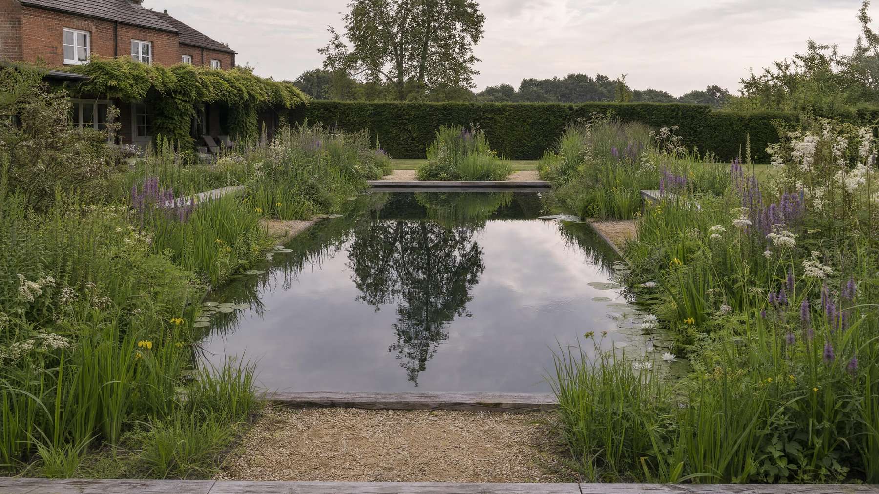 A formal natural pool with pale stone coping, reed planting along one edge and clear turquoise water