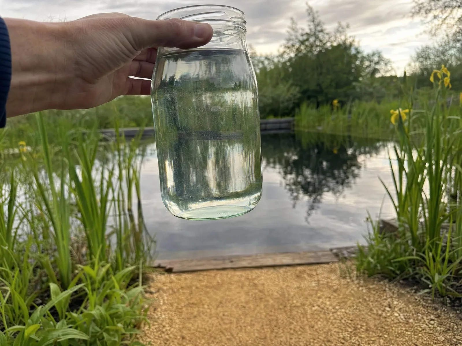 Gravel path running alongside a planted natural pond