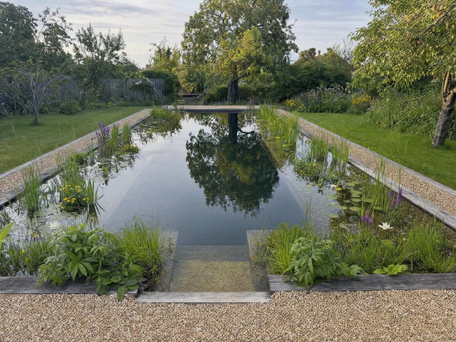 A finished natural swimming pool in a Suffolk garden, with an oak edge and a planted regeneration zone alongside the swim zone