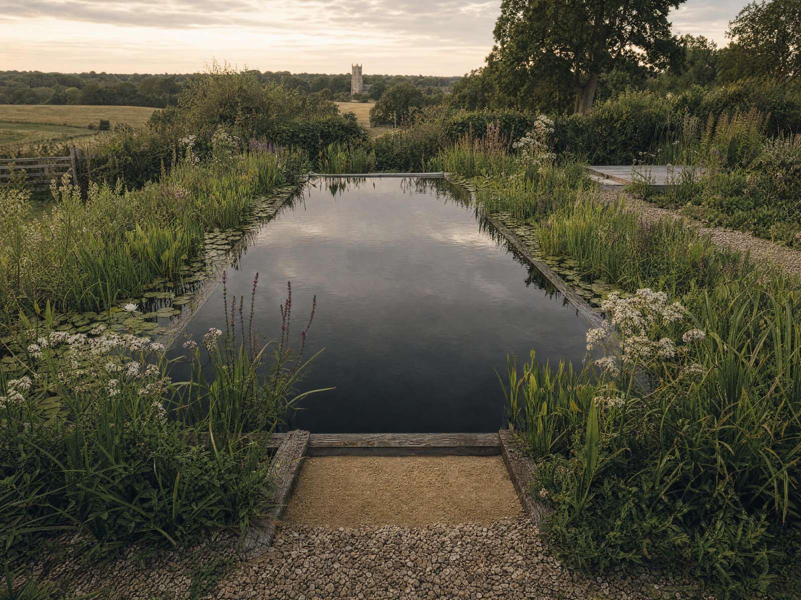 Aerial view of a living pool with its planted regeneration zone