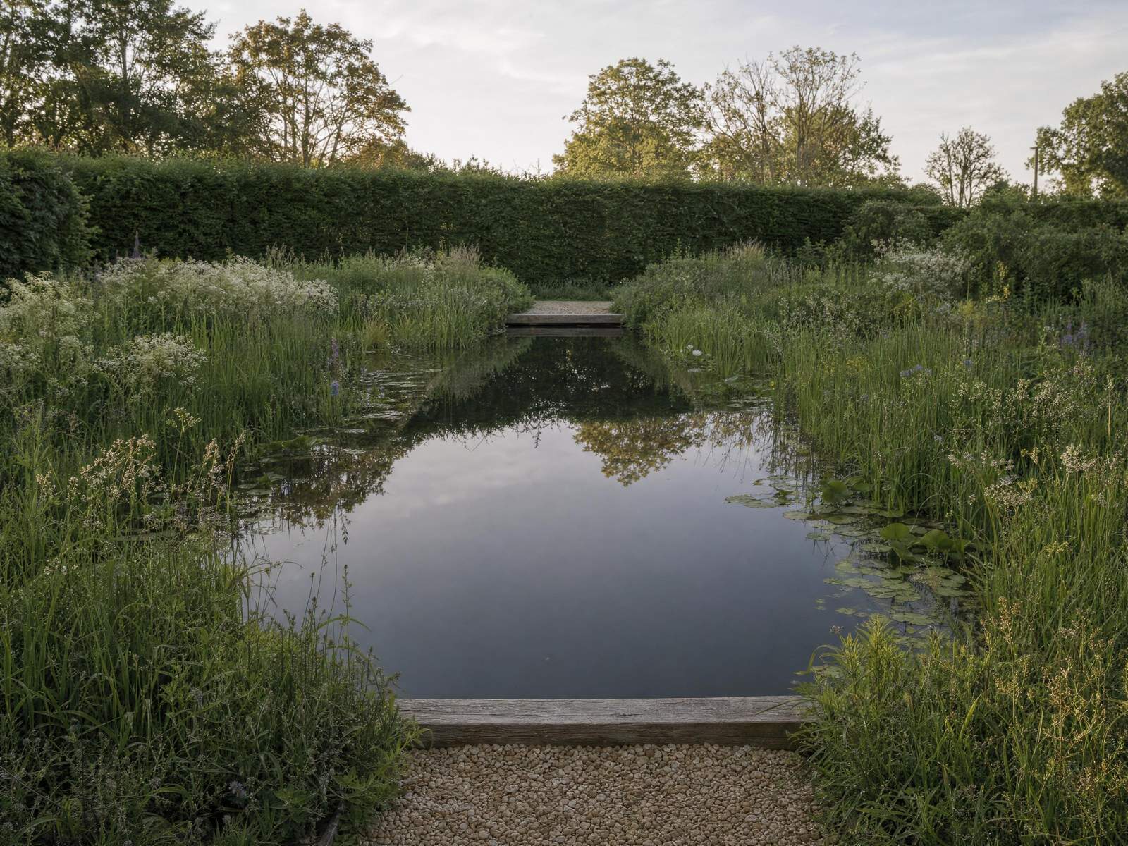 Planted margins along the edge of a natural swimming pond
