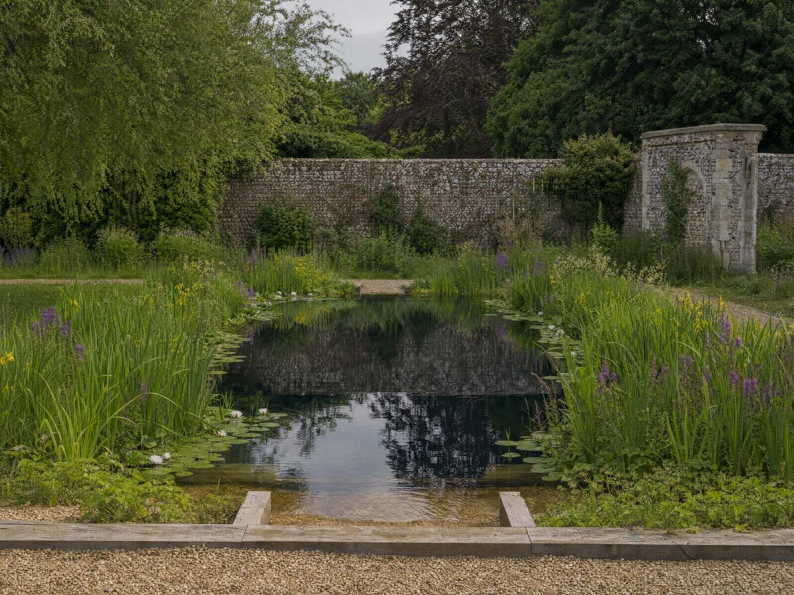 Swimming pond with planted margins