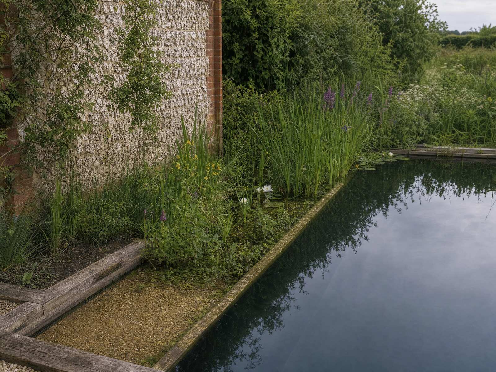 Living pool and terrace seen from above