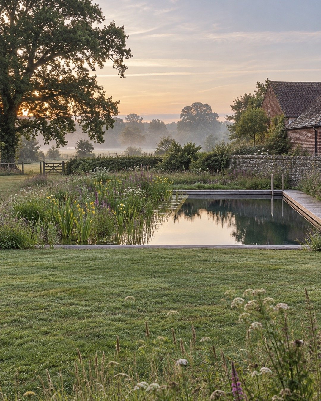 Natural pool design inspiration with planted margins, an oak tree and a brick barn in soft morning light
