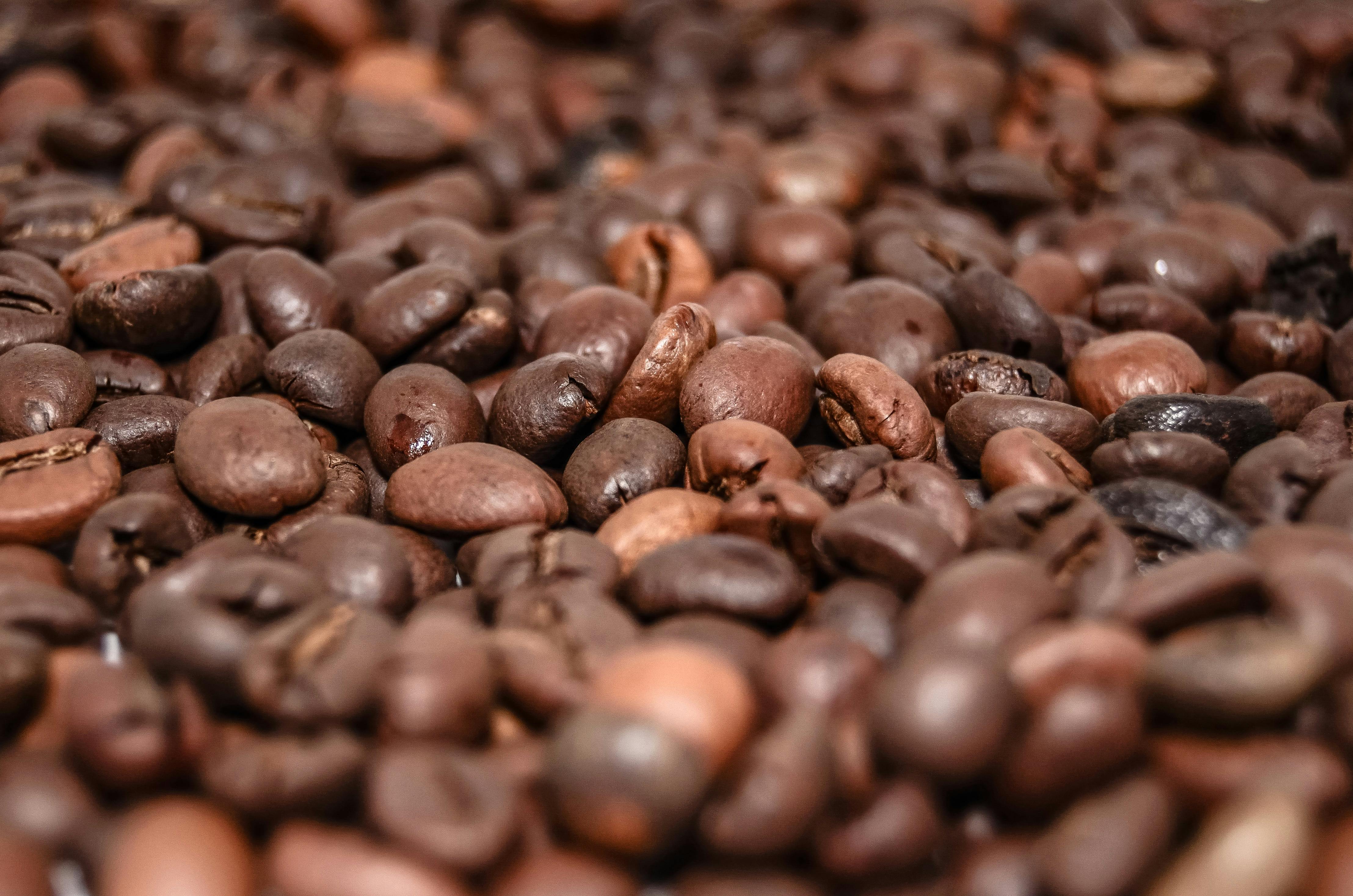 Close-up of roasted coffee beans