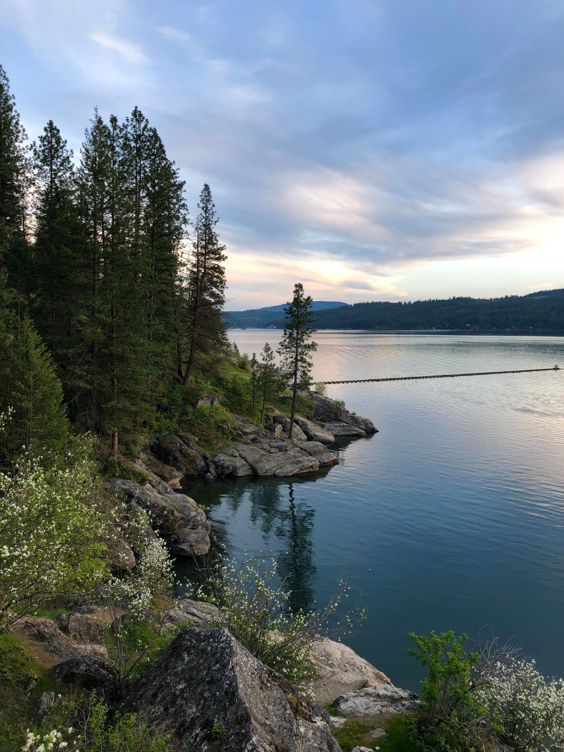 Pine-lined rocky shoreline on Lake Coeur d'Alene at dusk