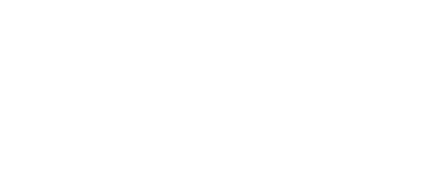 Lakeside Companies