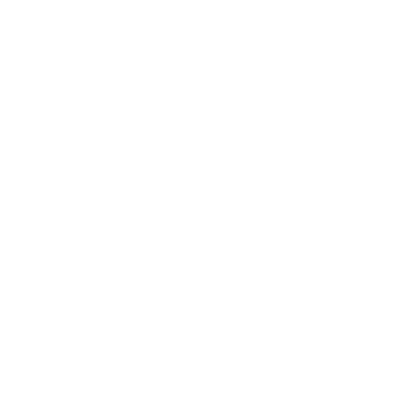 Century Cattle Co