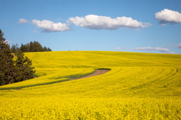 Video: Century Farms 2022 Growing Season