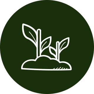 Icon of two white seedlings with three leaves each growing from soil on a dark green circular background.