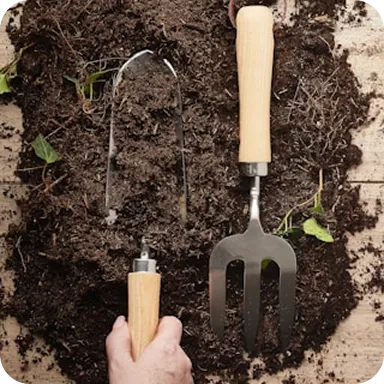Hand holding a small wooden-handled garden cultivator next to a three-pronged garden fork on dark soil.