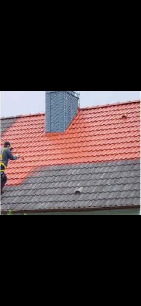 Peinture et traitement de toiture - Tinchebray-Bocage