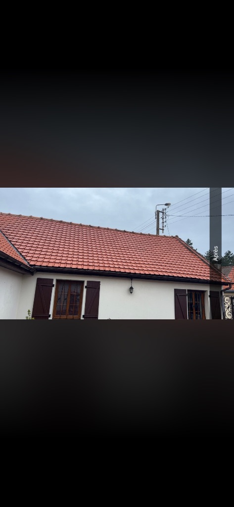 Nettoyage et démoussage de toiture - Flers