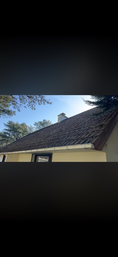 Avant : Nettoyage et démoussage de toiture - Saint-Georges-des-Groseillers