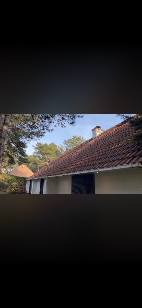 Nettoyage et démoussage de toiture - Saint-Georges-des-Groseillers