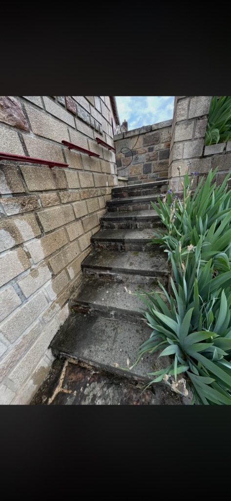 Avant : Nettoyage et rénovation d'escalier extérieur en pierre - Bagnoles-de-l'Orne