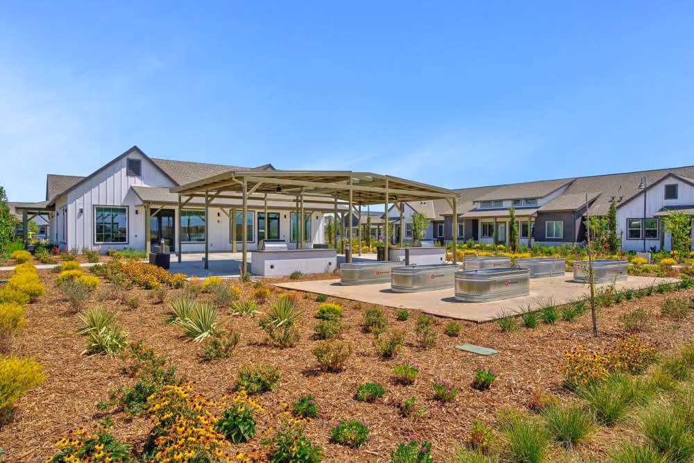 Landscaping and garden area