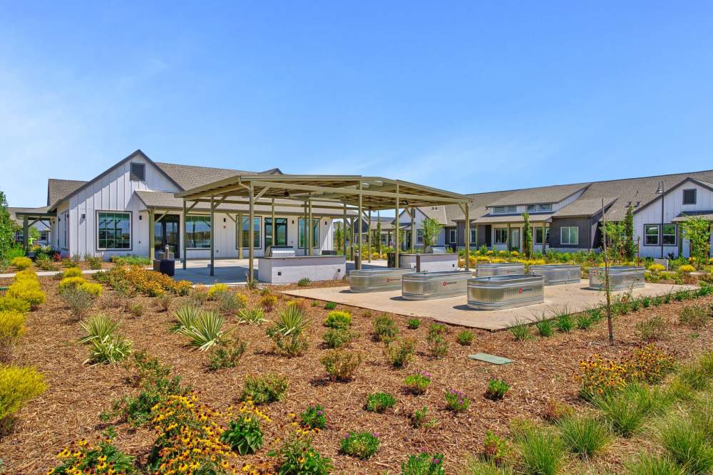 Landscaping and garden area