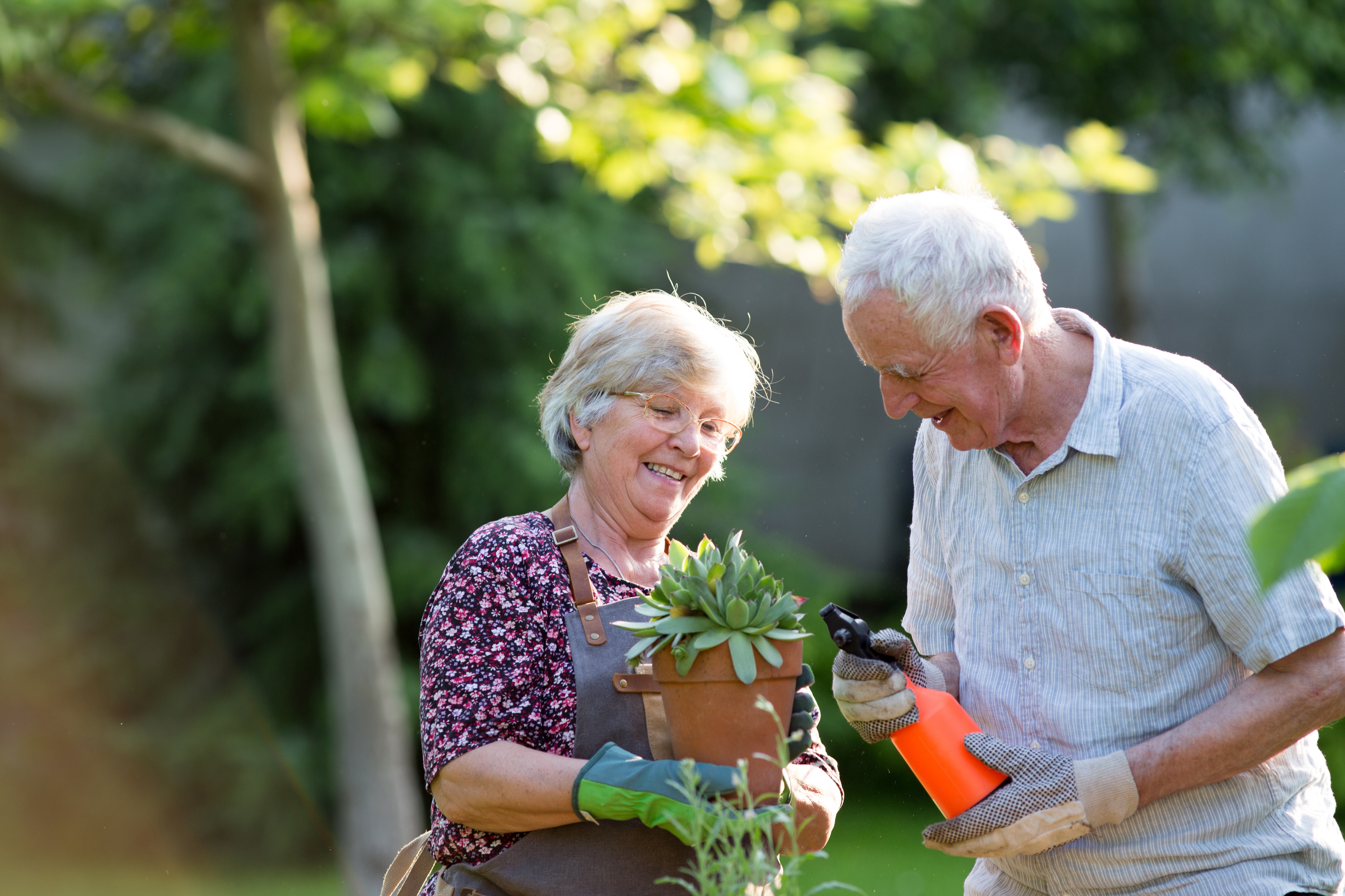 Gardening with plants