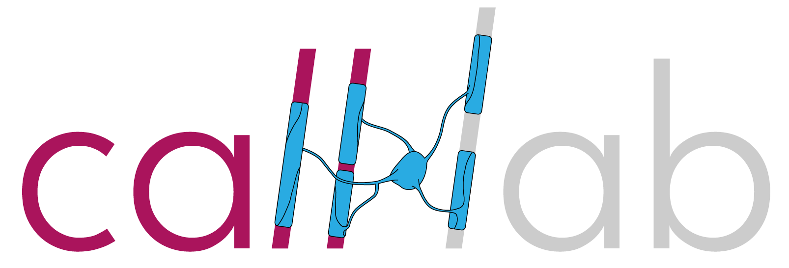 The Call Lab