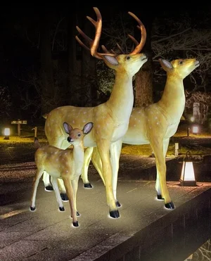 Lighted deer family figures at night with a stag, doe, and fawn on a stone surface.