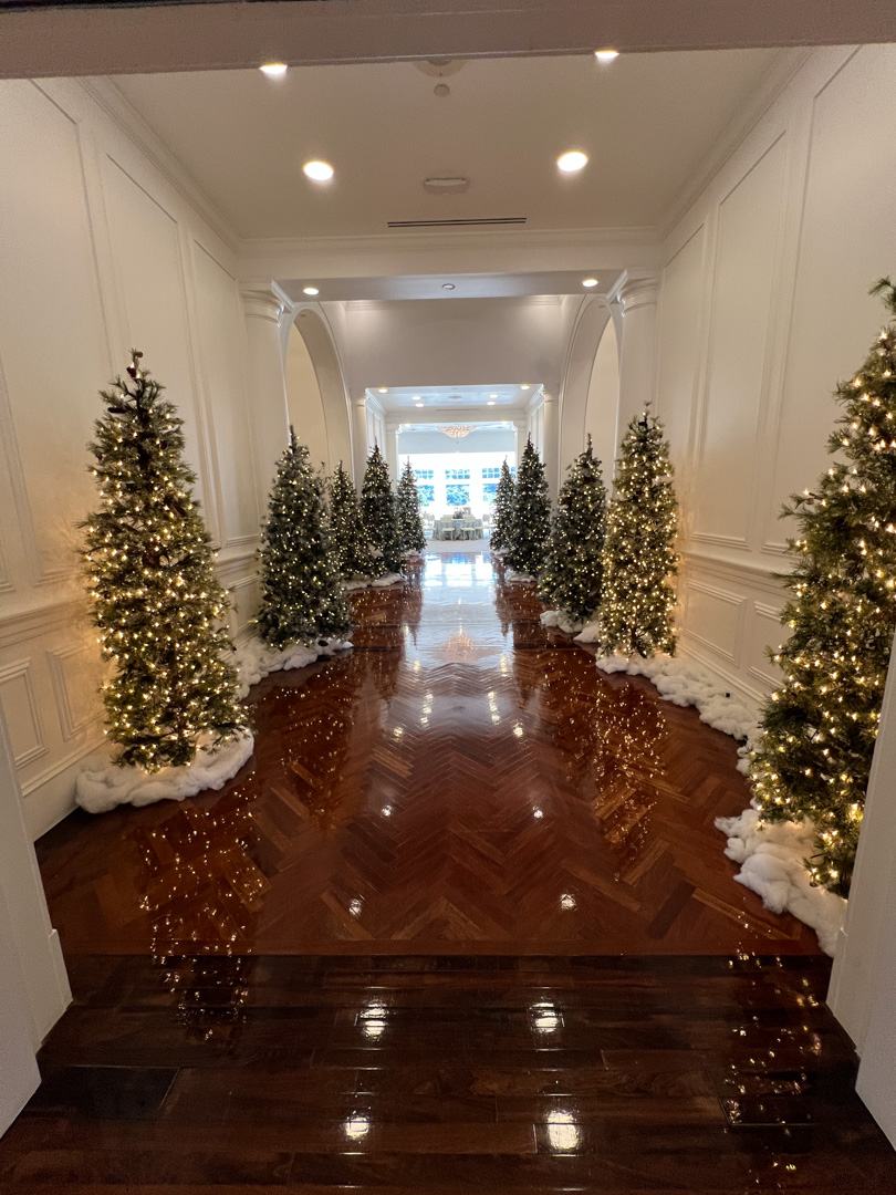 Hallway lined with decorated Christmas trees with white lights and fake snow.
