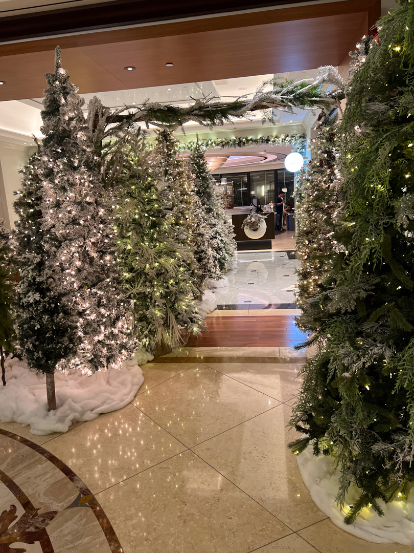 Indoor festive display of lit and frosted Christmas trees lining a walkway leading to a decorated reception area.