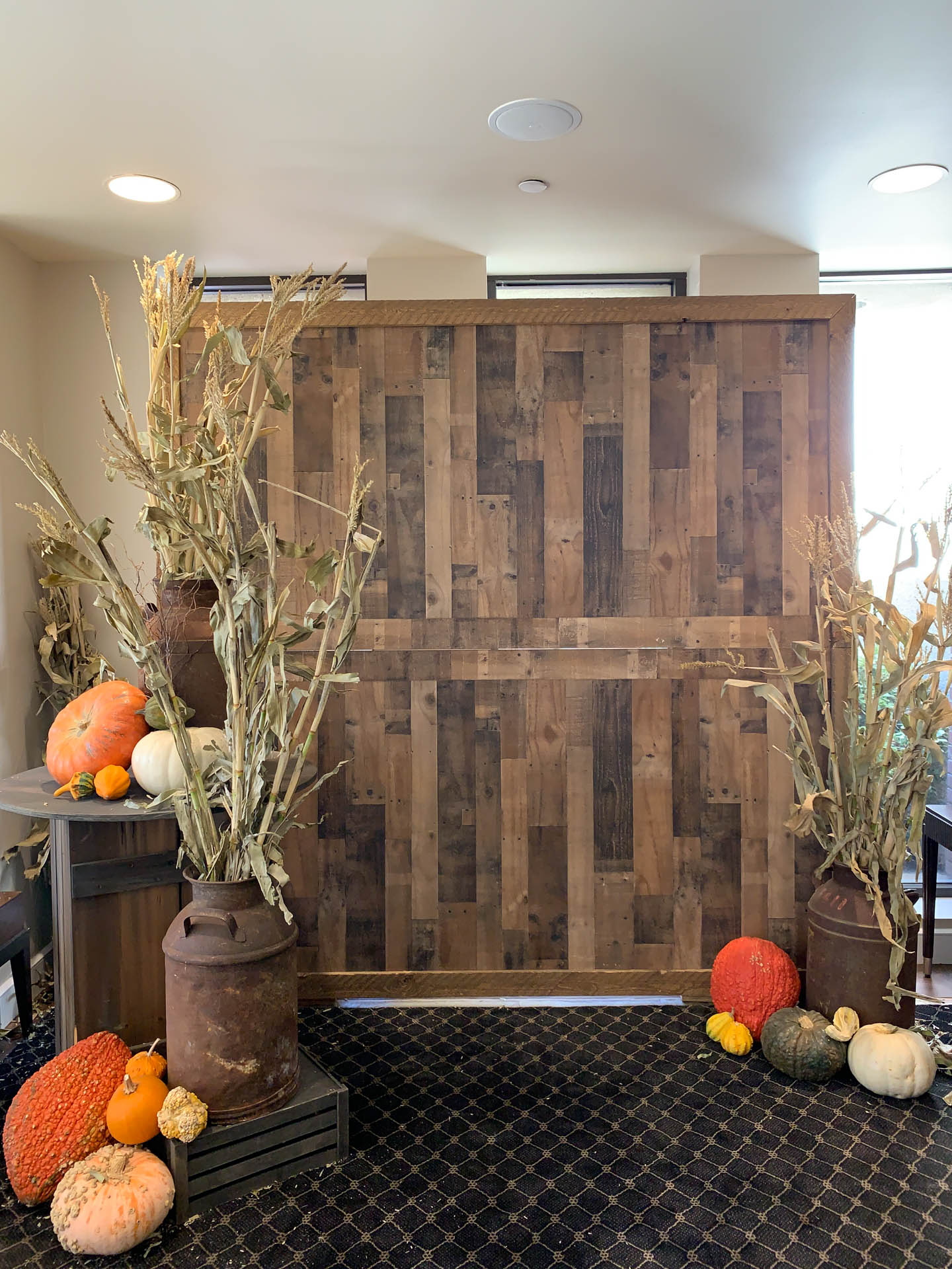 Rustic wooden backdrop flanked by dried cornstalks in metal containers and assorted pumpkins on floor.