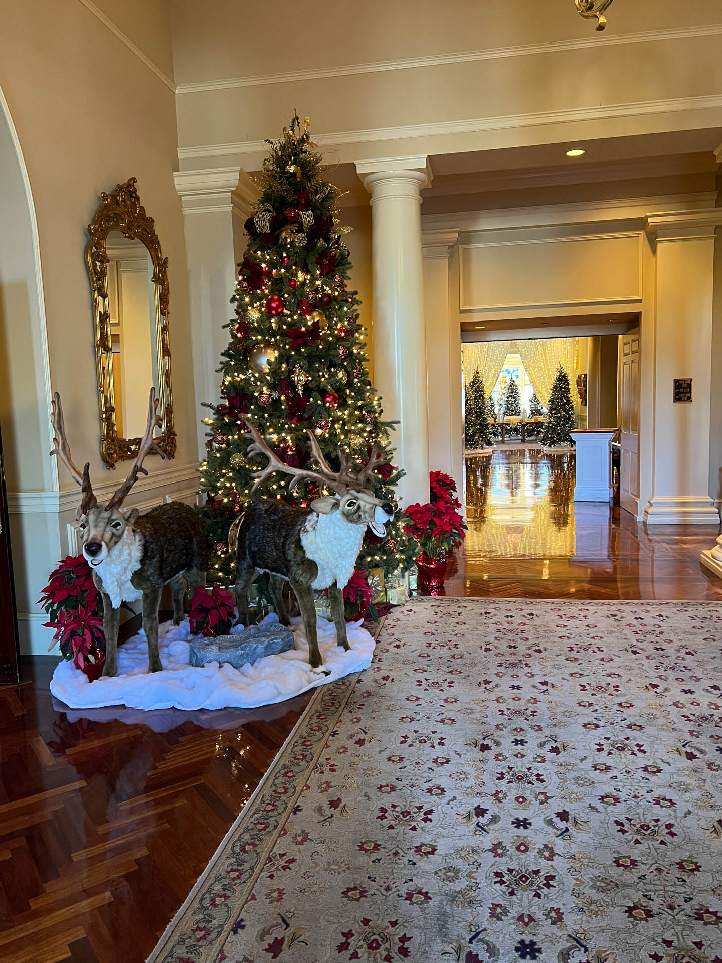 Two decorative reindeer beside a decorated Christmas tree with poinsettias in a festive indoor space.