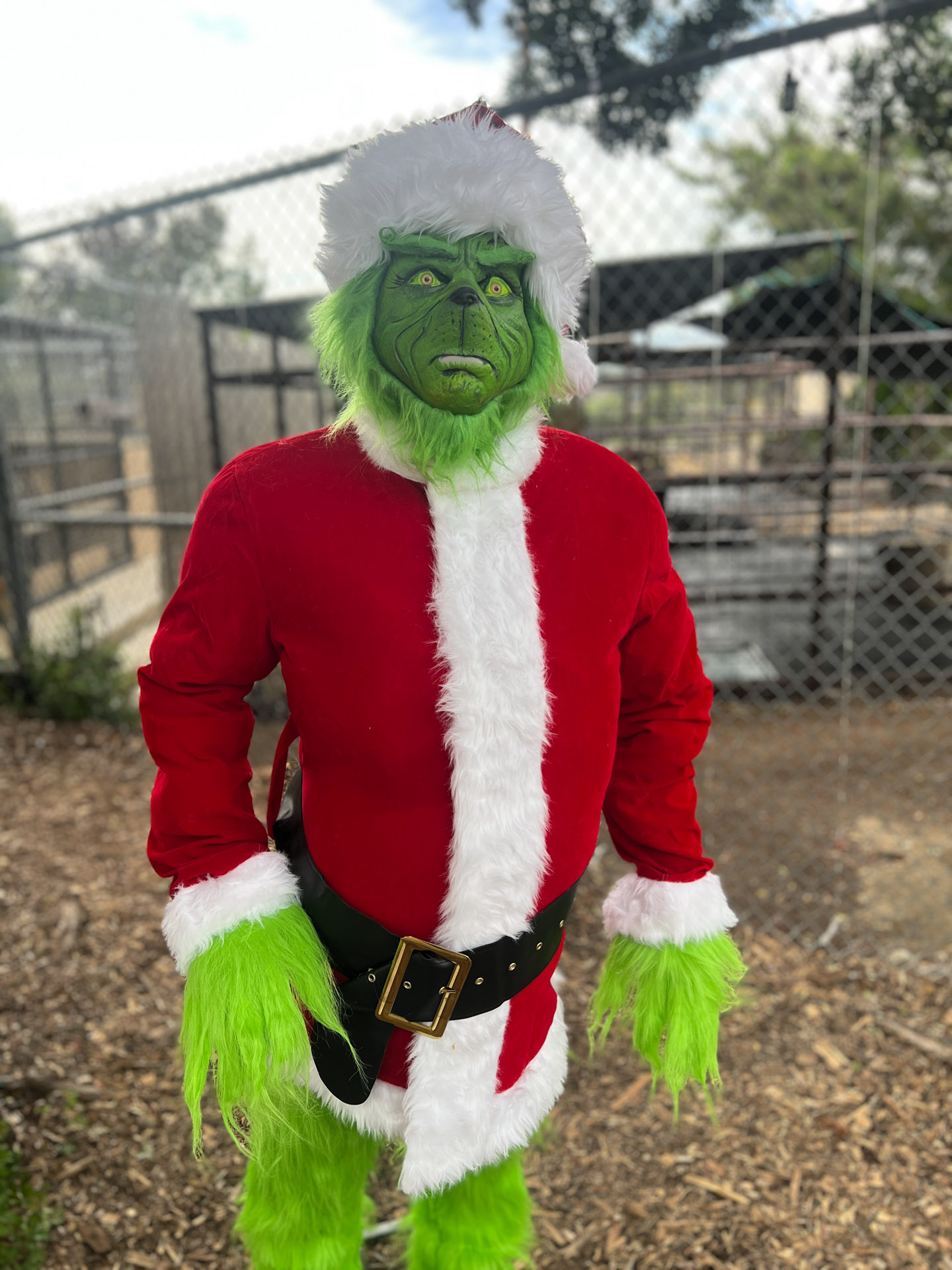 Grinch in a Santa suit with green fur outdoors.