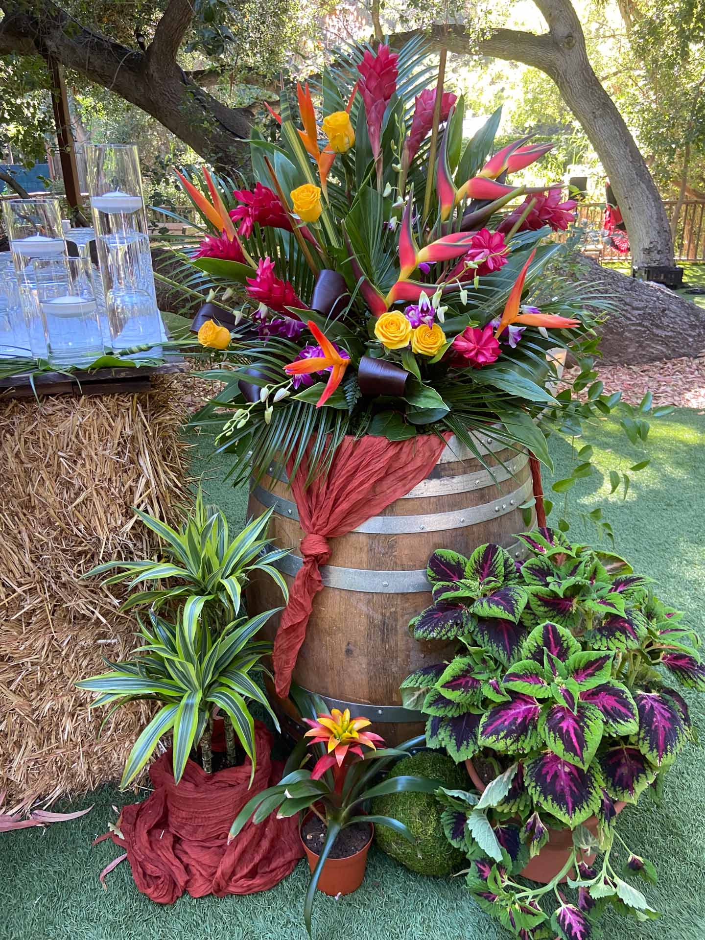 Colorful tropical flower arrangement on a wooden barrel with potted indoor plants on grass.