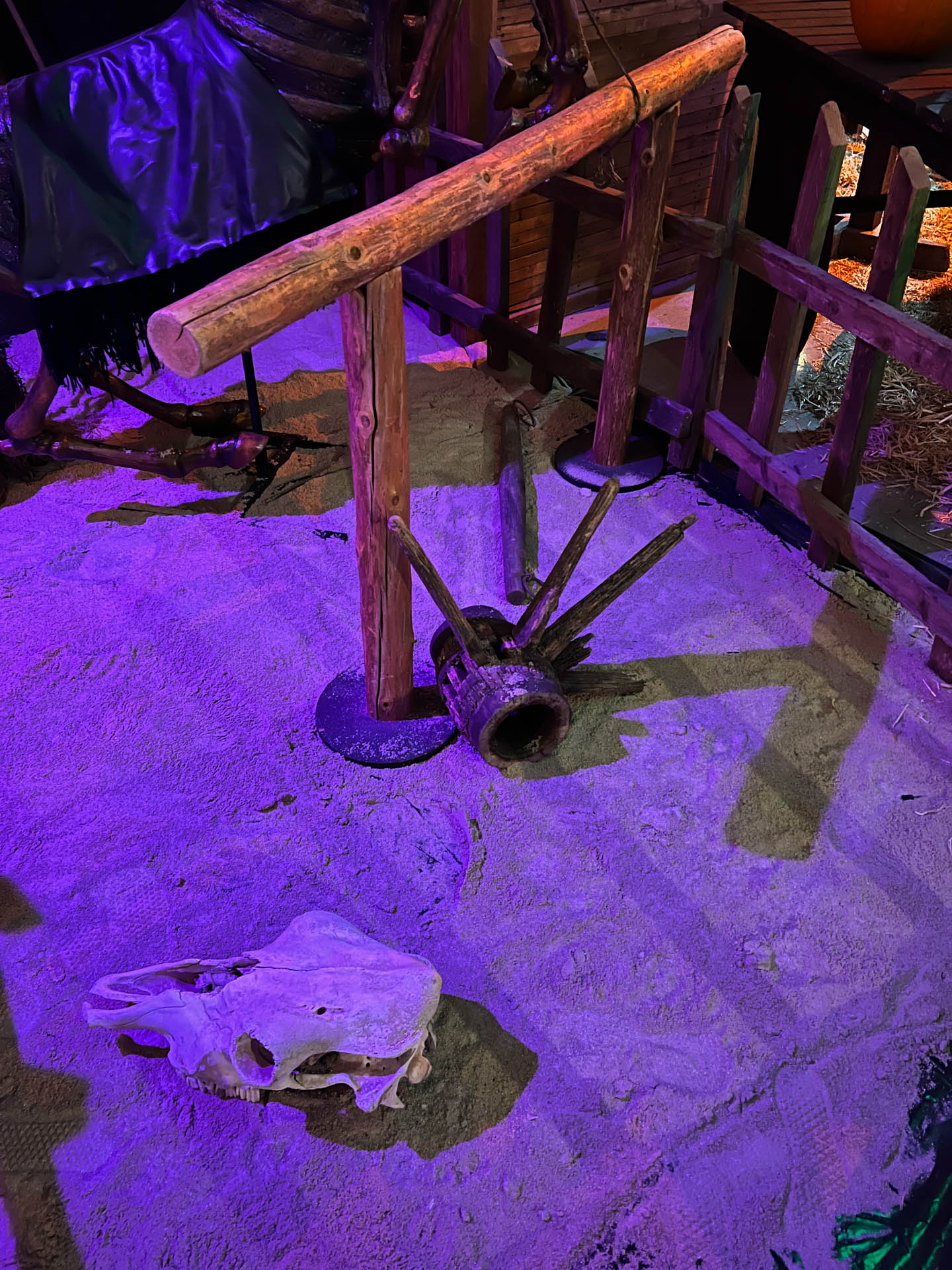 Wooden contraption and animal skull on sand under purple light near a wooden fence.