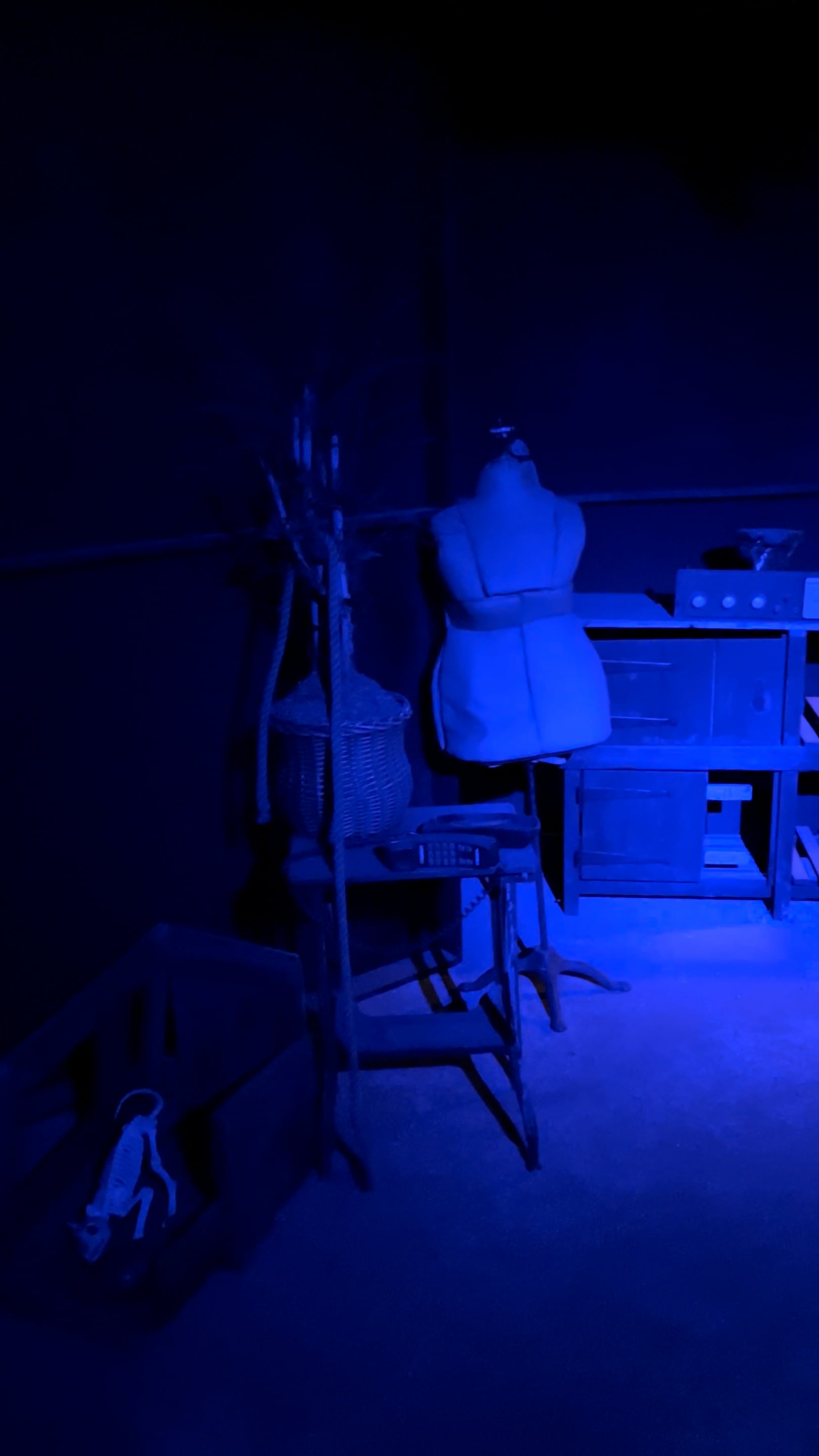 Dimly lit workspace with dress form, wooden chair, basket, and a skeleton of a small animal in a wooden crate.