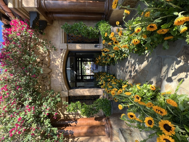 Outdoor walkway lined with bright sunflowers and greenery leading to an arched entrance beneath flowering bougainvillea.