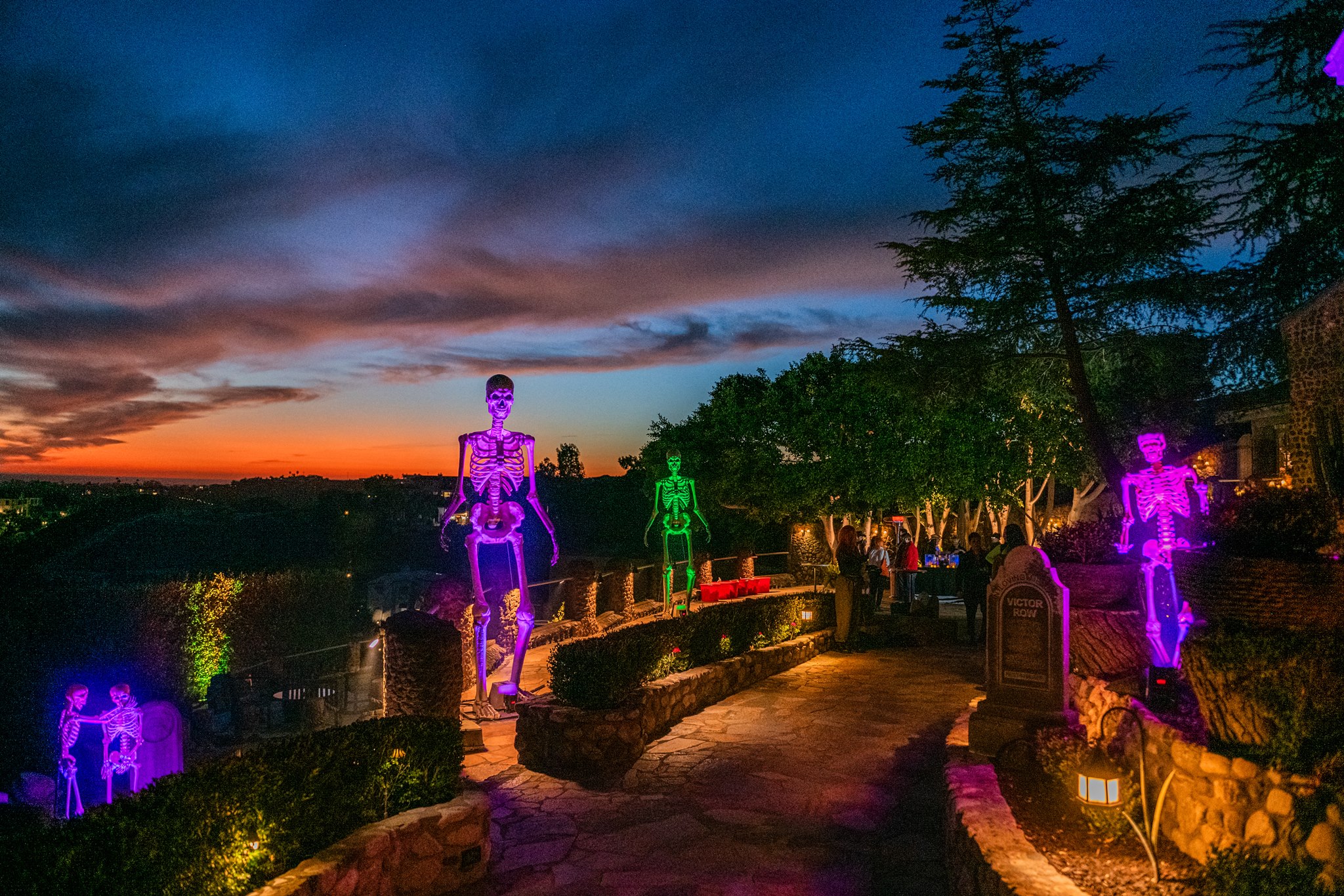 Outdoor Halloween display at sunset with large illuminated skeletons in purple and green lighting along a stone walkway.