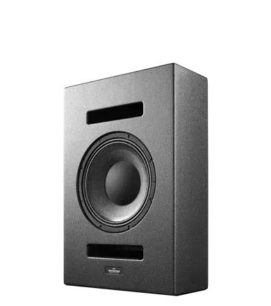 Ascendo The12 PRO Coaxial Cinema Monitor