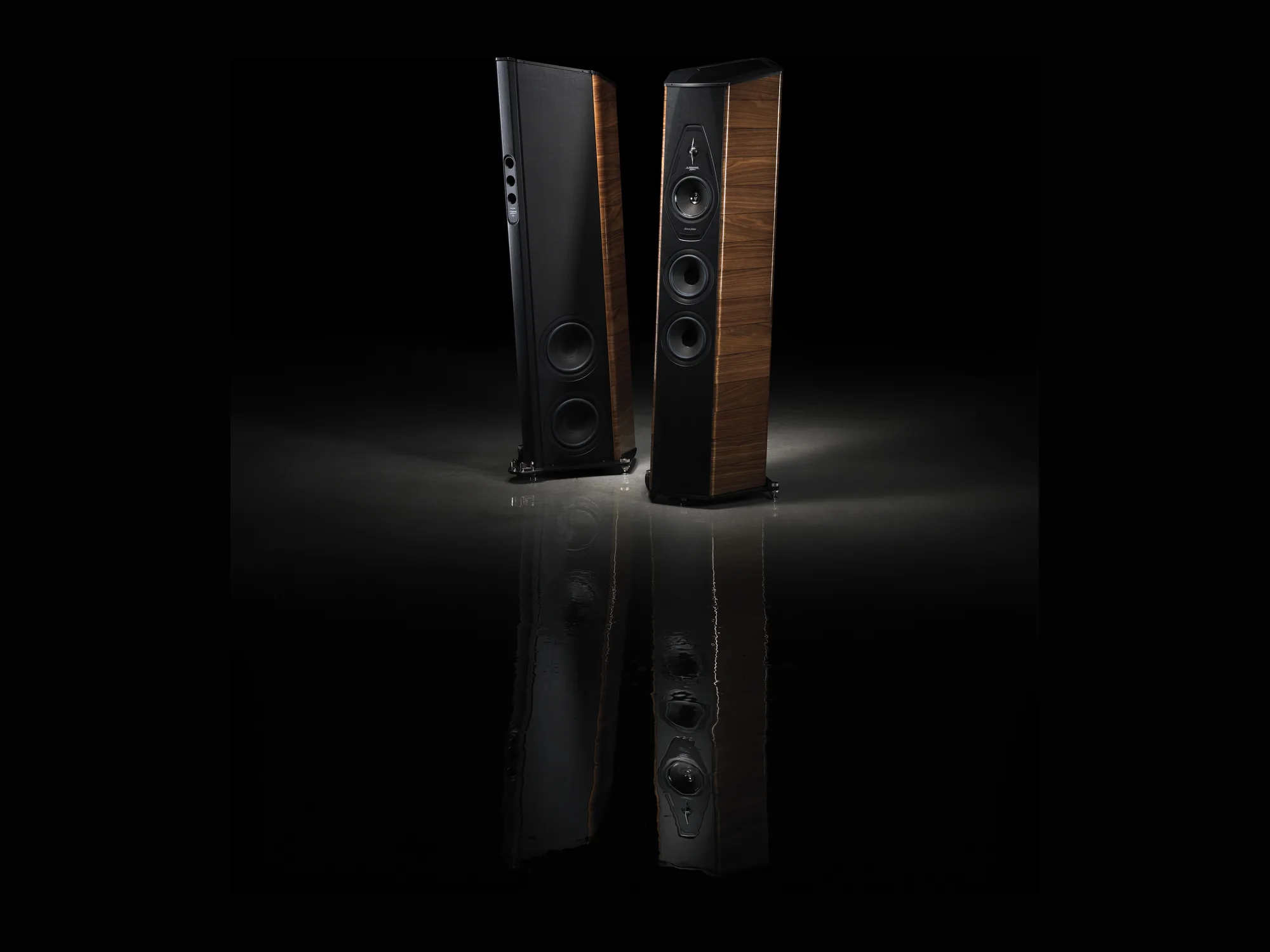 Sonus faber Il Cremonese