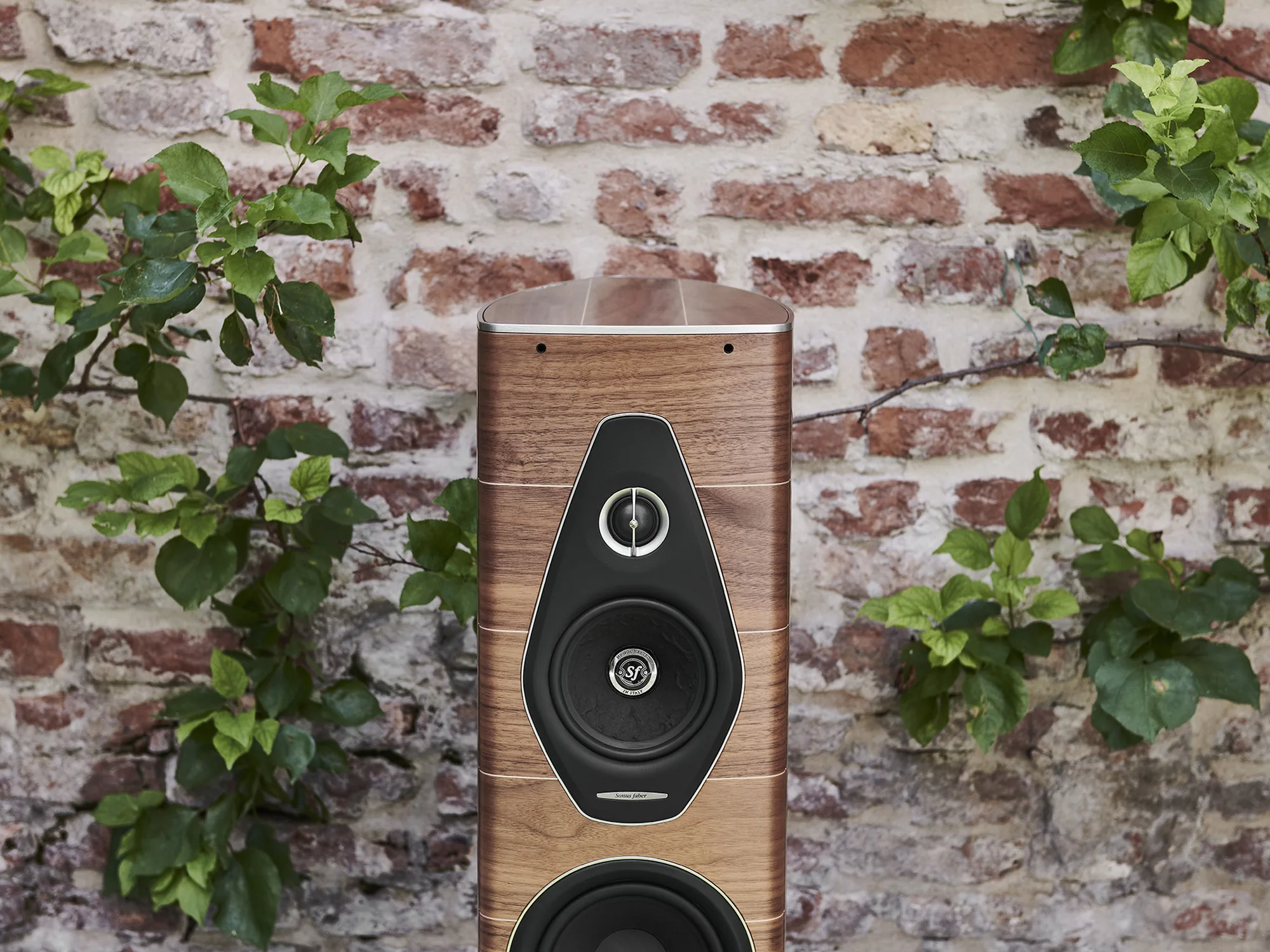 Sonus faber Olympica Nova Wall
