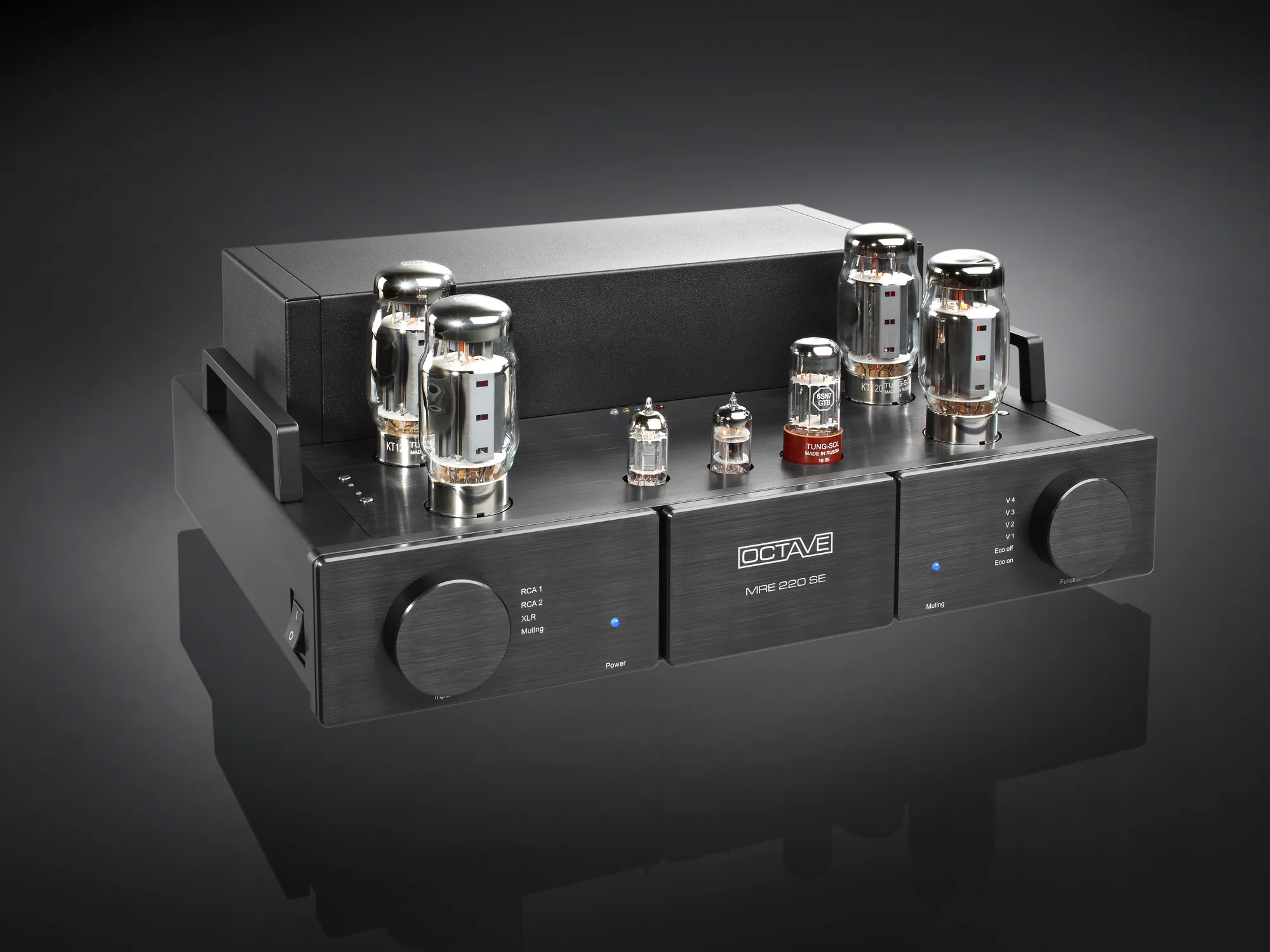 Octave MRE 220 SE monoblock power amplifier in black on a dark ground