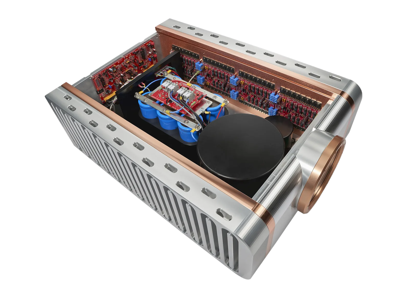 Dan D’Agostino Relentless 800 Z Monaural Amplifier
