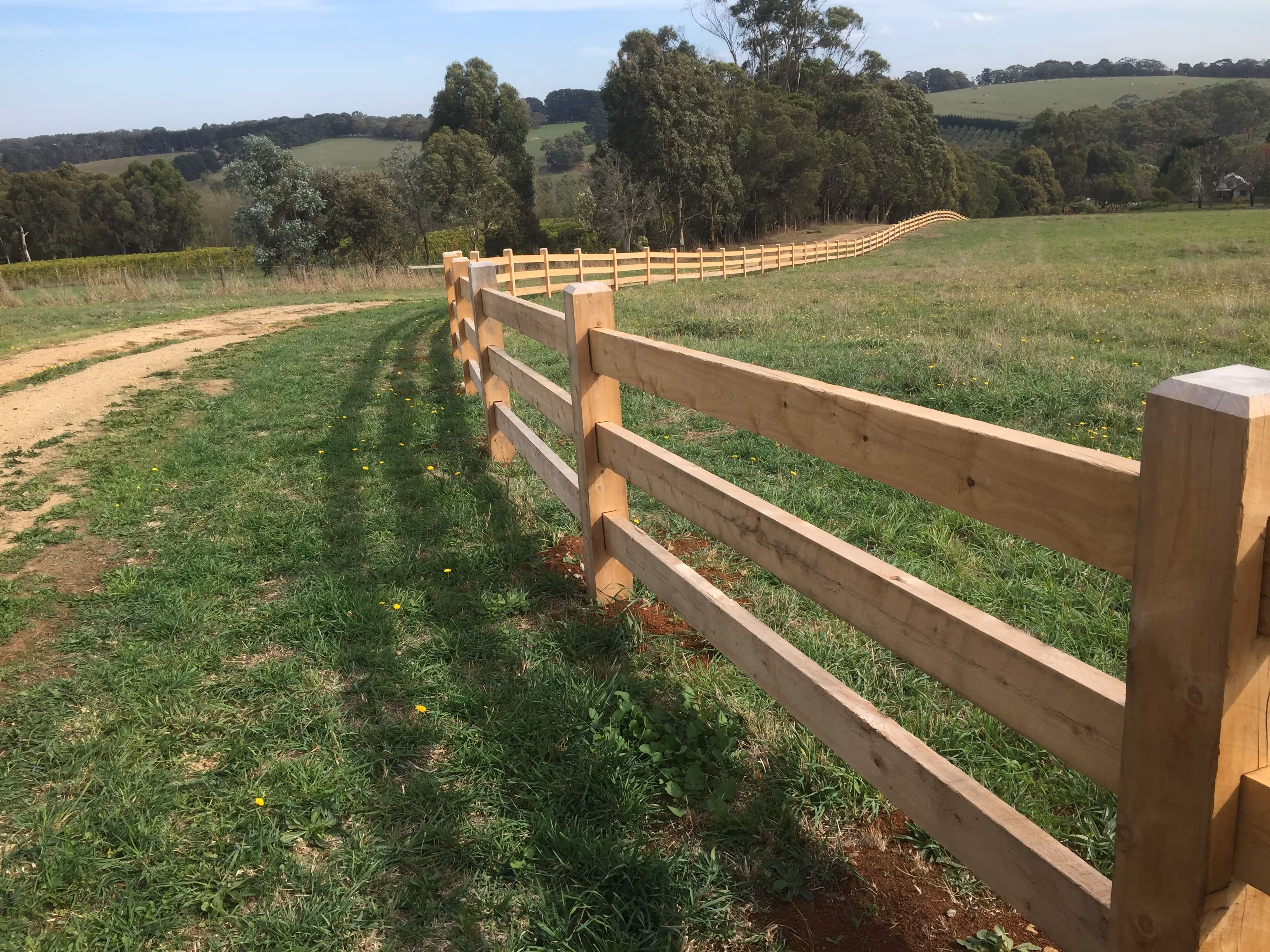 3 rail Post and rail fence in field