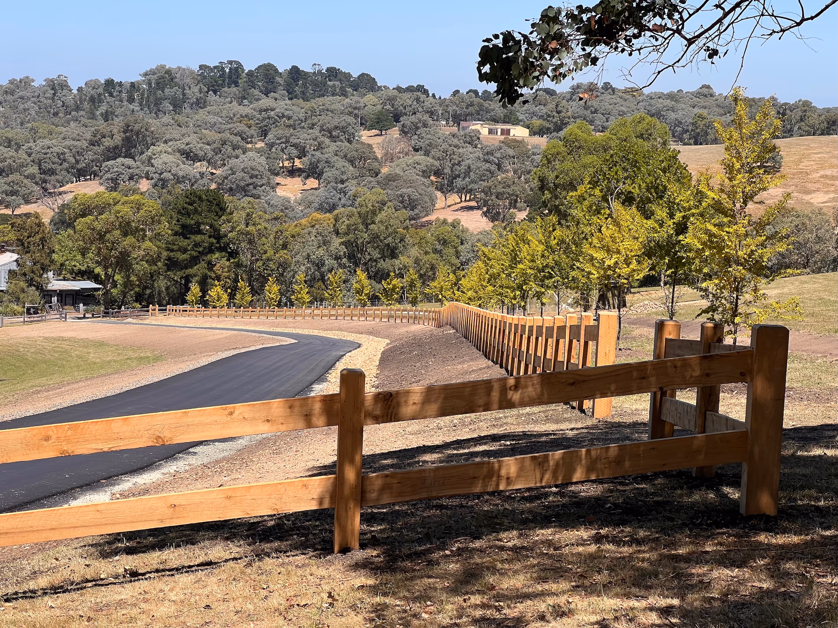 Winding paved road with wooden fence and young trees on dry grassland under clear sky.