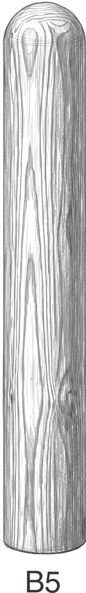 Tall, vertically elongated dark wooden log with visible grain texture and rounded top.