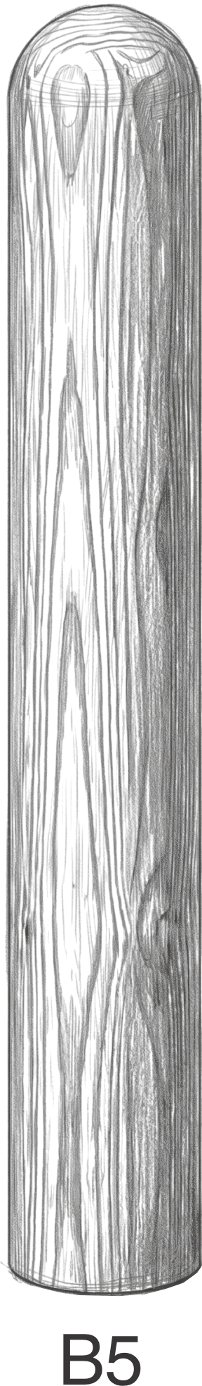 Tall, vertically elongated dark wooden log with visible grain texture and rounded top.